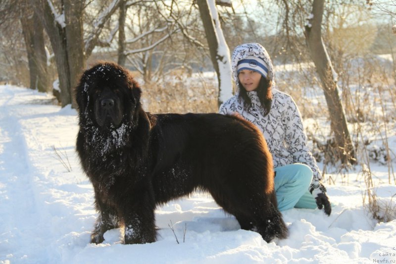 Фотография № 202138