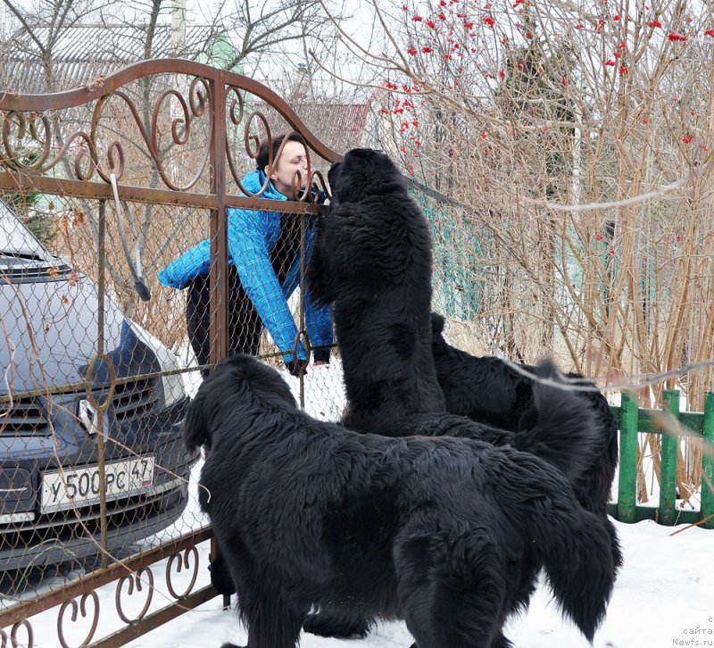 Фотография № 202143