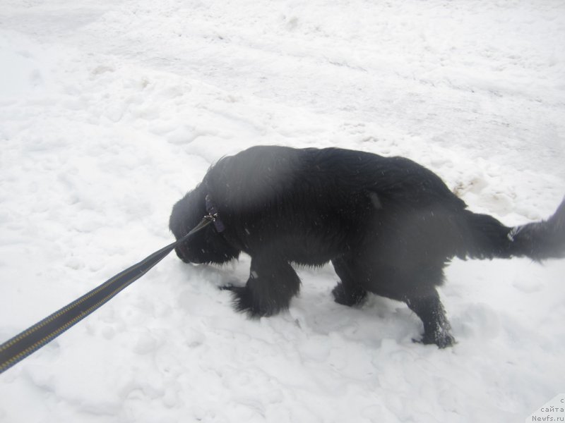 Фото: Natal'ya Smazchikova (Наталья Смазчикова)
