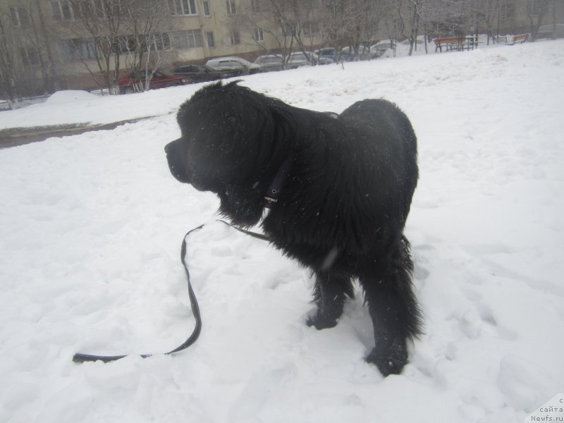Фото: Natal'ya Smazchikova (Наталья Смазчикова)