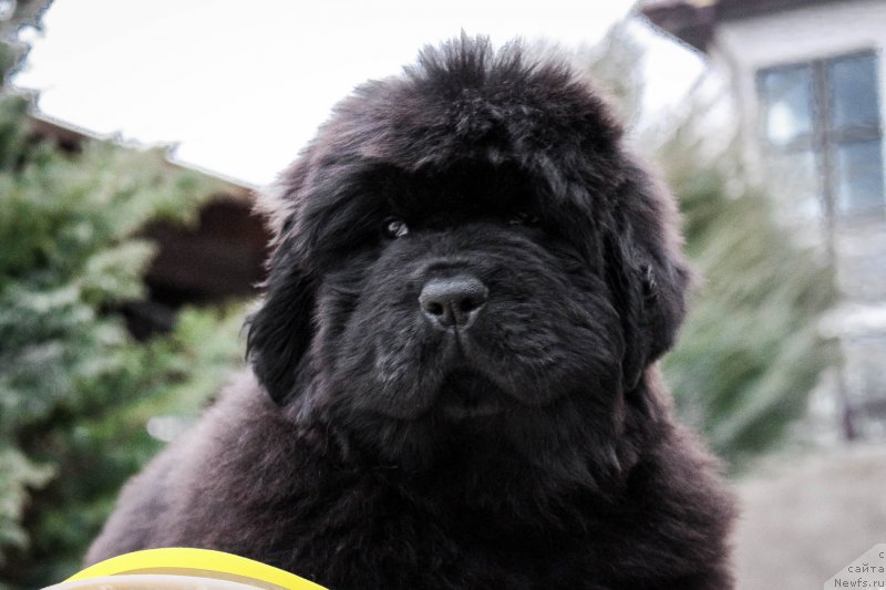 Фотография № 202202