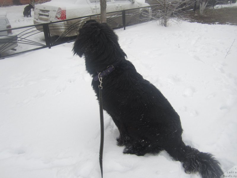 Фото: Natal'ya Smazchikova (Наталья Смазчикова)