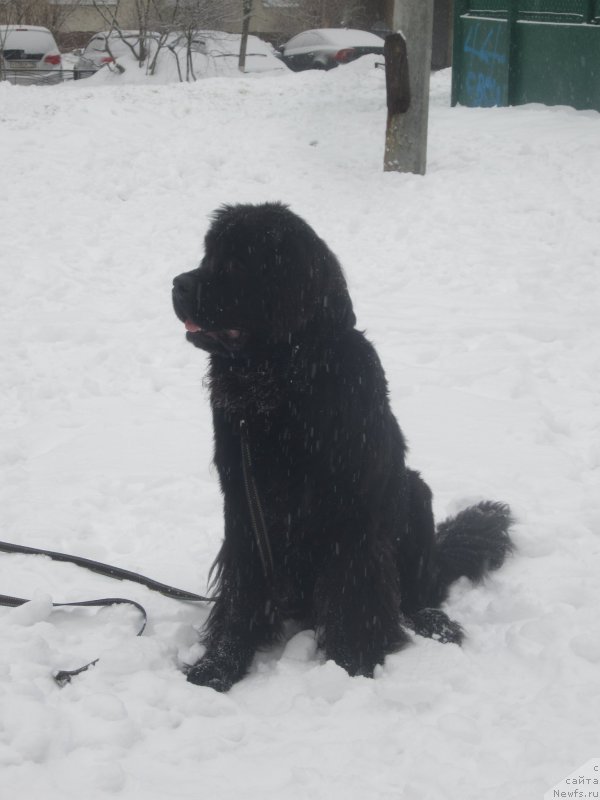 Фото: Natal'ya Smazchikova (Наталья Смазчикова)