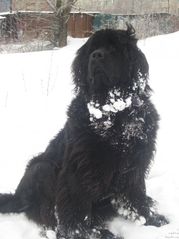 Фото: Natal'ya Smazchikova (Наталья Смазчикова)