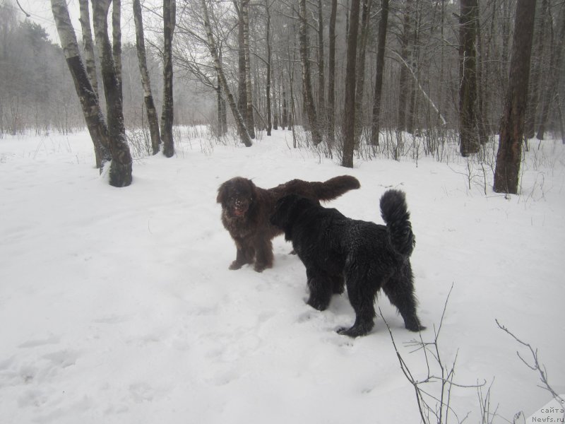 Фото: Natal'ya Smazchikova (Наталья Смазчикова)