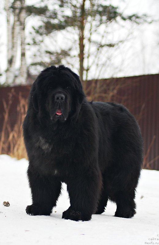 Фотография № 202245