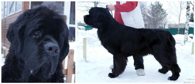 Фотография № 202253