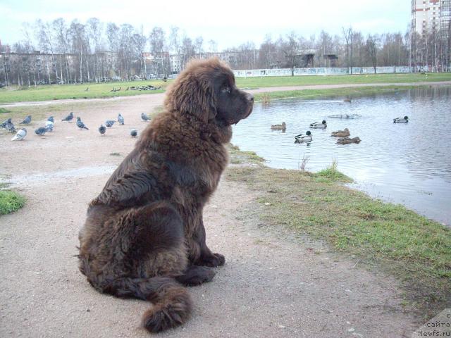 Фотография № 20226