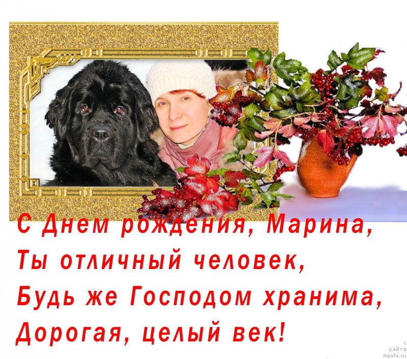 Фотография № 202265