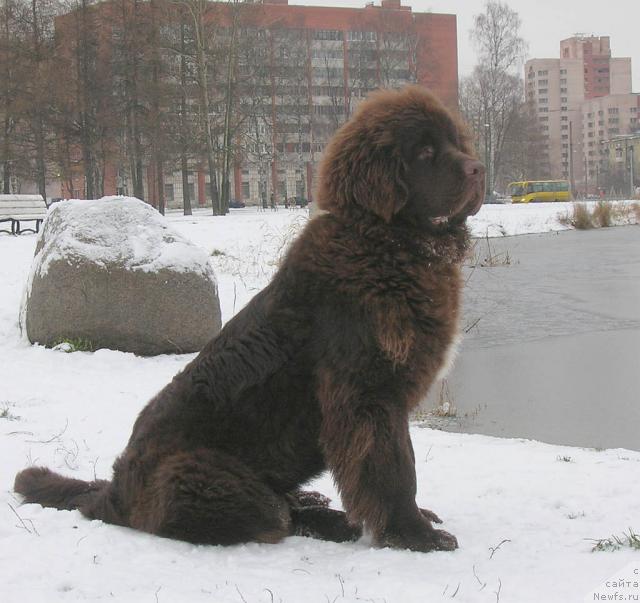 Фотография № 20227