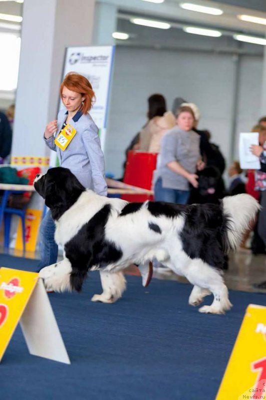 Фотография № 202303