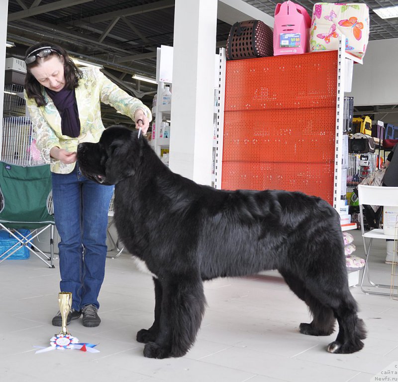 Фотография № 202320