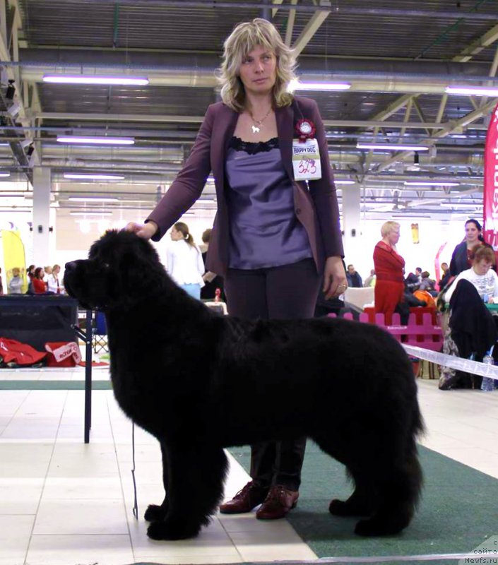 Фотография № 202321