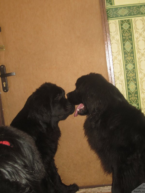 Фото: Natal'ya Smazchikova (Наталья Смазчикова)