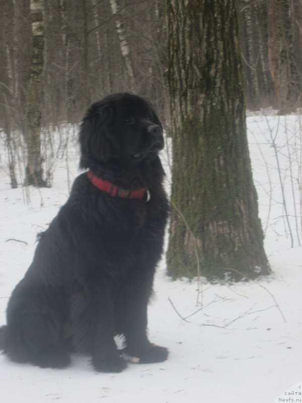 Фото: Natal'ya Smazchikova (Наталья Смазчикова)