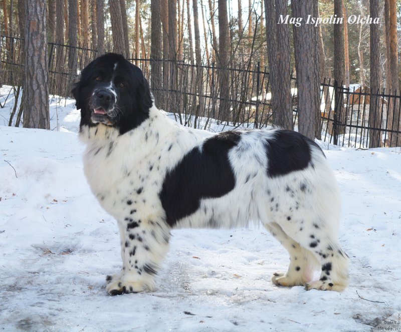 Фотография № 202380