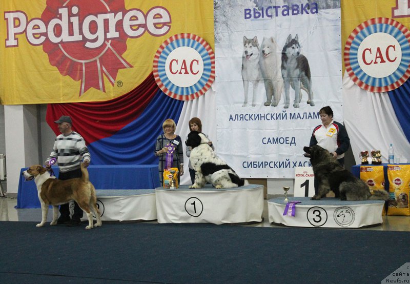 Фотография № 202383