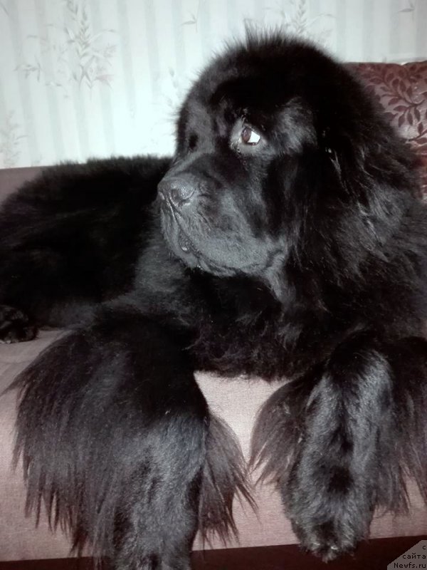 Фотография № 202386