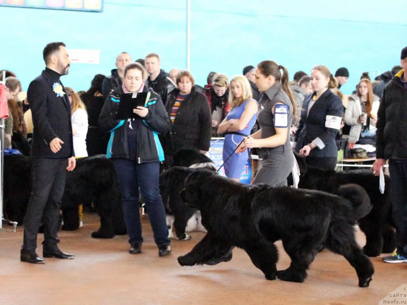 Фотография № 202388