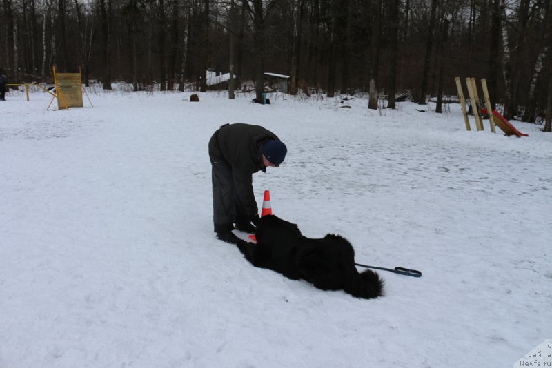 Фото: Aleksandr Ponomaryov (Александр Пономарёв), 