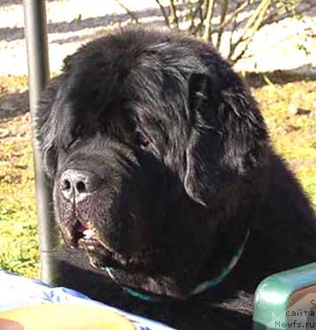 Фотография № 20246