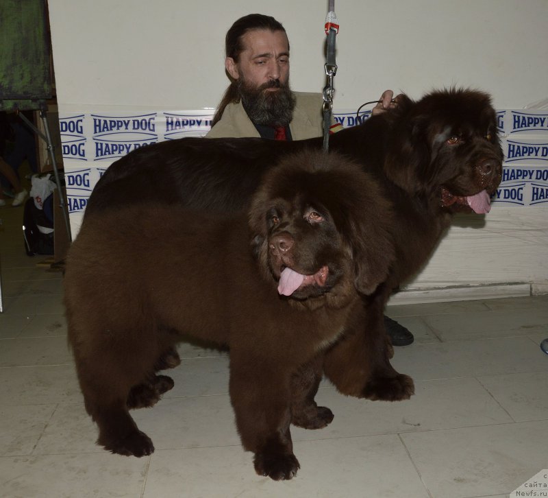 Фотография № 202465