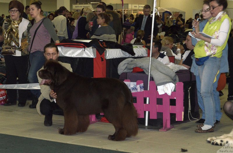 Фотография № 202470