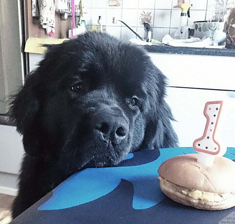 Фотография № 202472