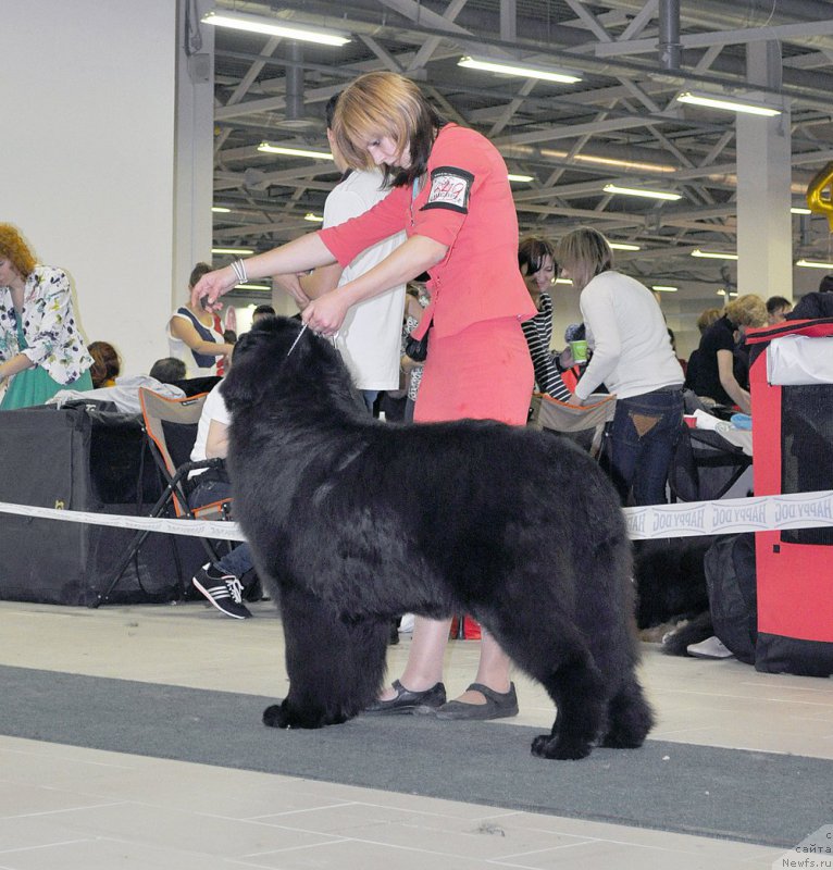 Фотография № 202477