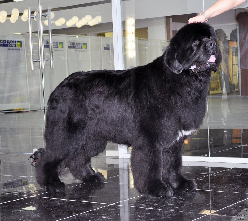 Фотография № 202480