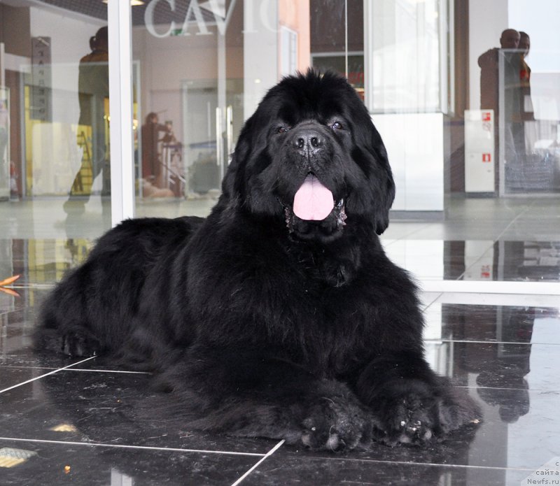 Фотография № 202481