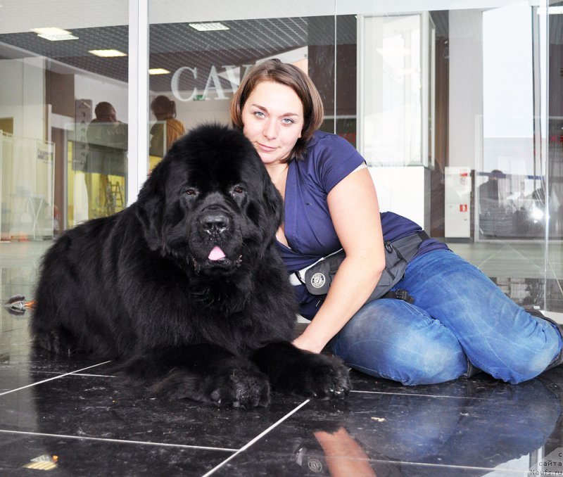 Фотография № 202482