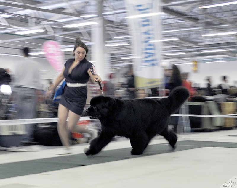 Фотография № 202483