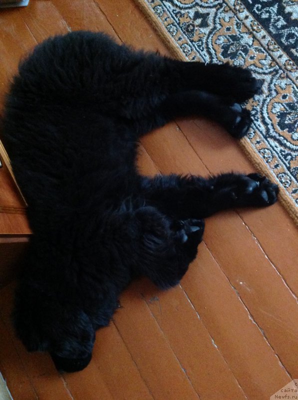 Фотография № 202574