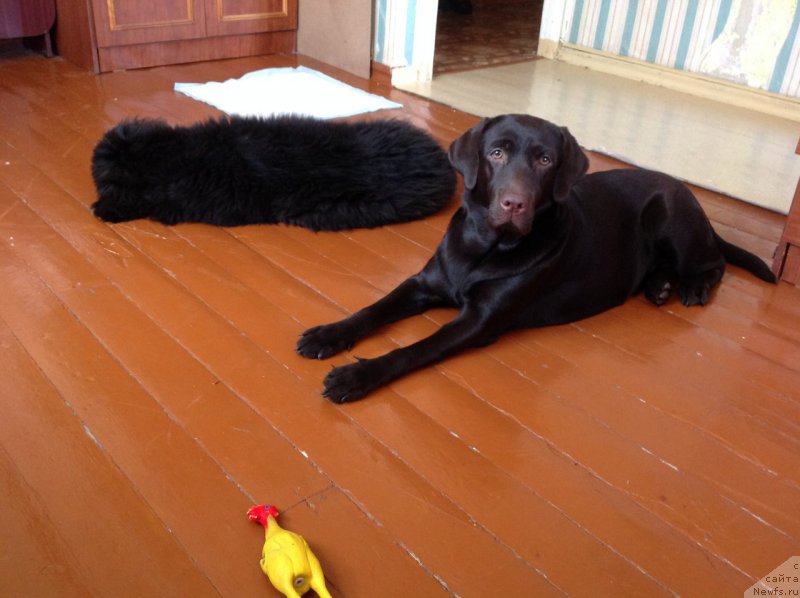 Фотография № 202575