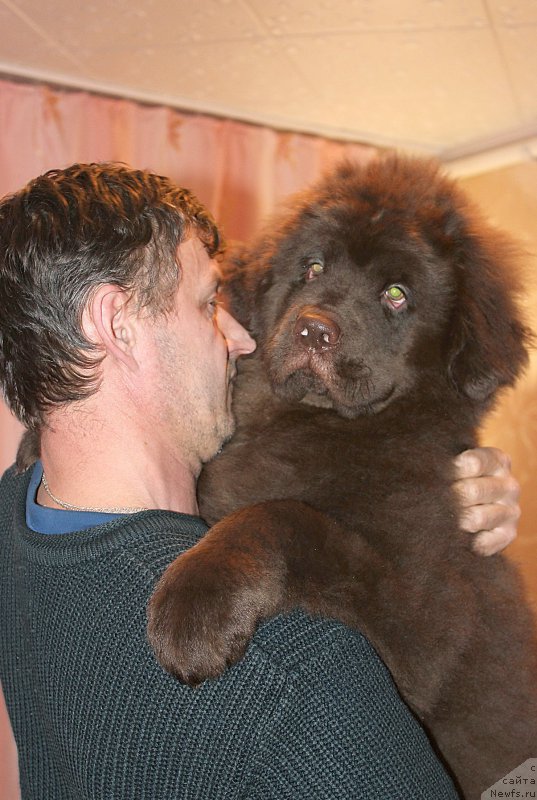 Фотография № 202631