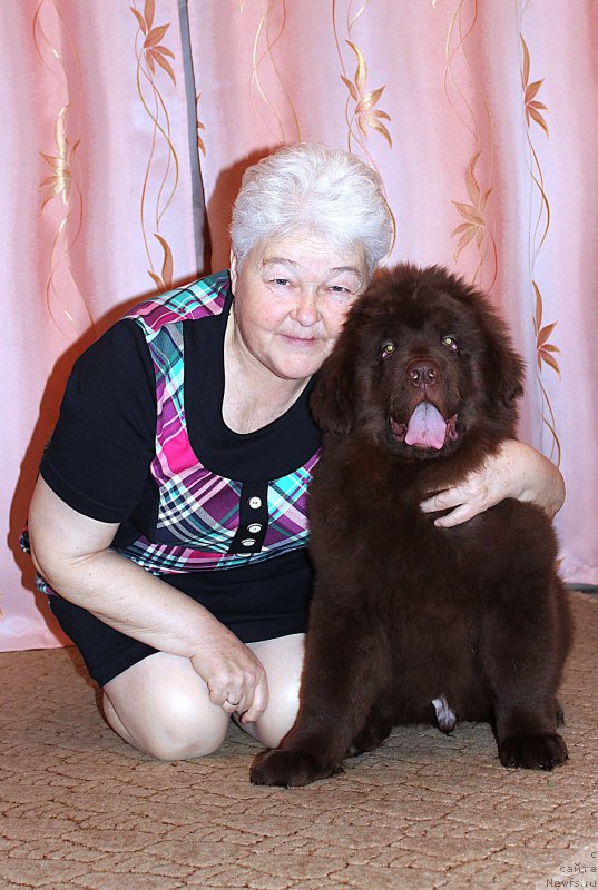 Фотография № 202633