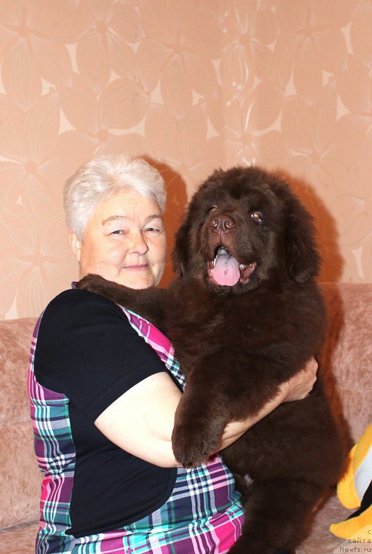 Фотография № 202634