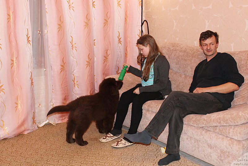 Фотография № 202635