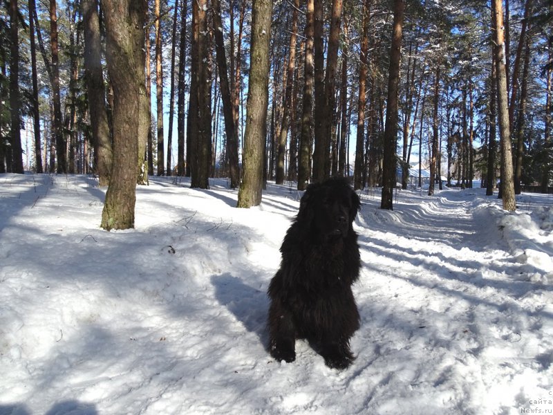 Фотография № 202651