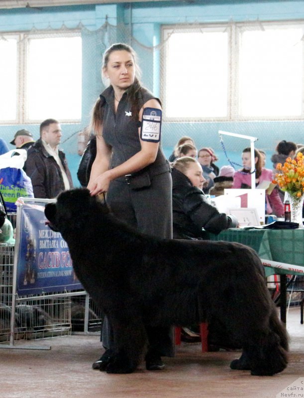 Фотография № 202654