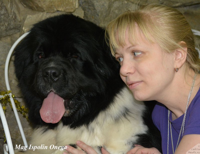 Фотография № 202660