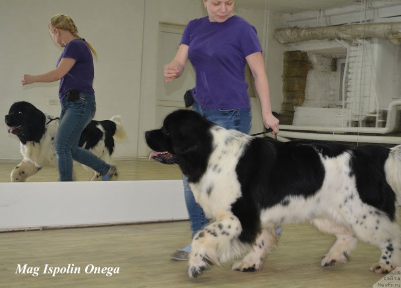 Фотография № 202661