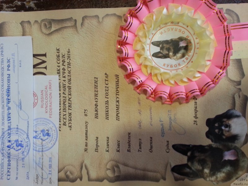 Фотография № 202701