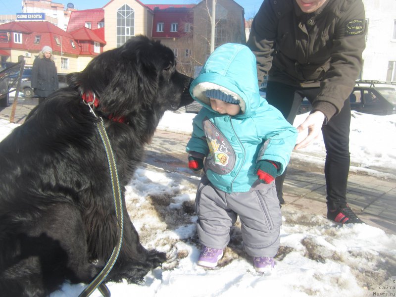 Фотография № 202702