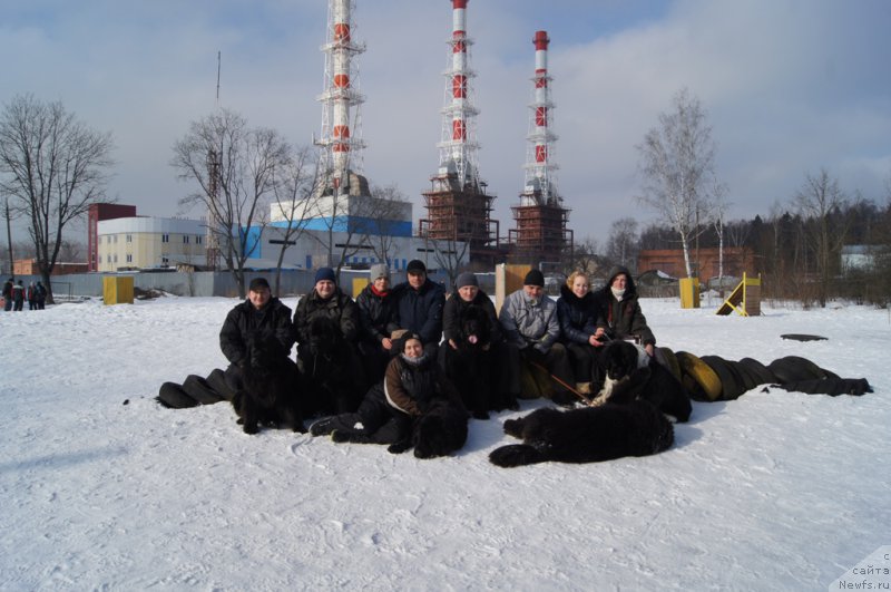 Фото: ньюфаундленд Sent Djons Larel Leolanda (Сент Джонс Ларель Леоланда), Леонид, Aleksandr Ponomaryov (Александр Пономарёв), 