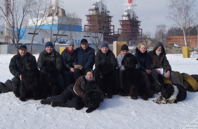 Фото: Леонид, ньюфаундленд Sent Djons Larel Leolanda (Сент Джонс Ларель Леоланда), Aleksandr Ponomaryov (Александр Пономарёв), 