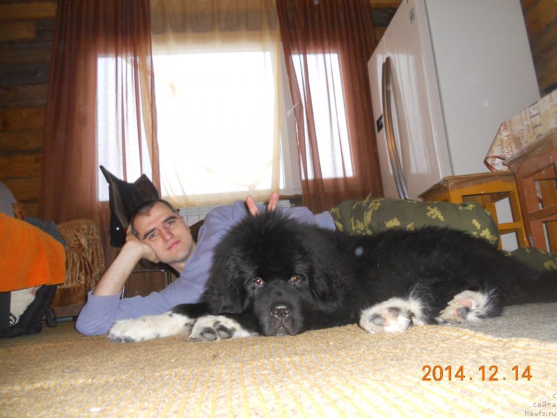 Фотография № 202731