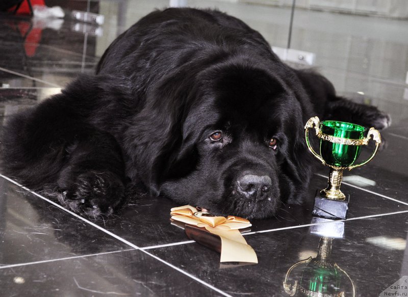 Фотография № 202740