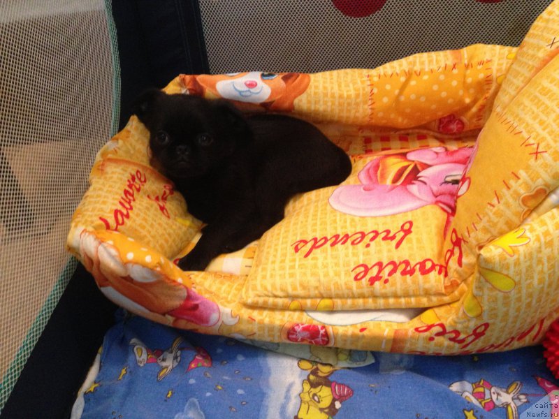 Фото: Tat'yana Olenina (Татьяна Оленина)